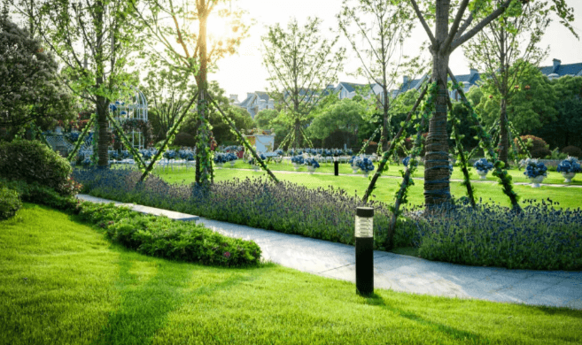 Beautiful Landscaping Services to Enhance Your Outdoor Space