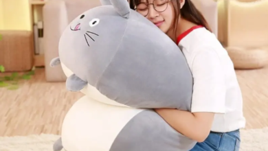 Top 5 Kawaii Capybara Plushies and Sumiko