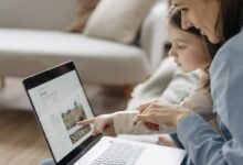 exploring software realm insights