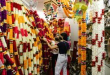 kassel s vibrant ladies market