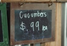 rizopacho food cost analysis