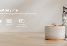 wopet pet water fountain