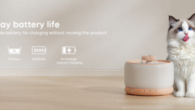 wopet pet water fountain