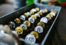 beginner stock investment tips