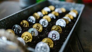 beginner stock investment tips