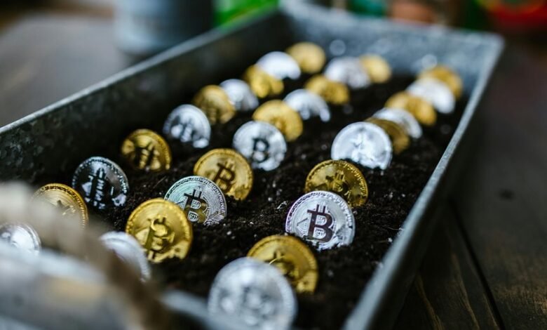 beginner stock investment tips