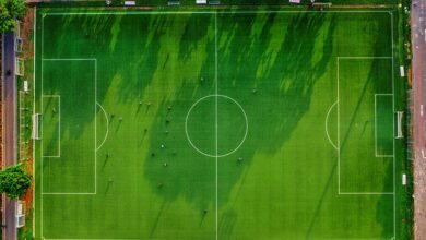 activity overview identifiers listed