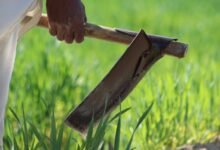 business growth performance evaluation