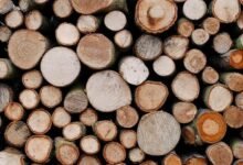 Choosing Sustainable Wood Materials for Long-Lasting Outdoor Projects