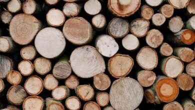 Choosing Sustainable Wood Materials for Long-Lasting Outdoor Projects