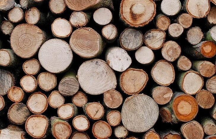 Choosing Sustainable Wood Materials for Long-Lasting Outdoor Projects