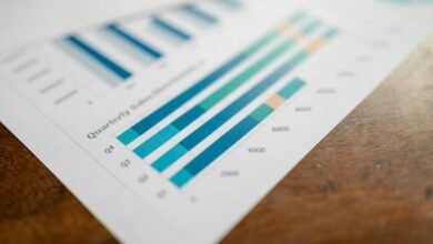 rapid revenue growth achieved