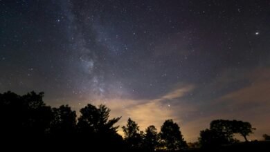 stellar horizon insights revealed